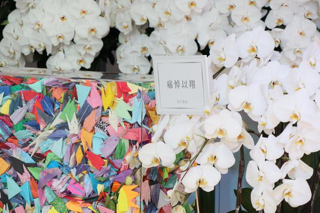 浙江衛(wèi)視送上花籃