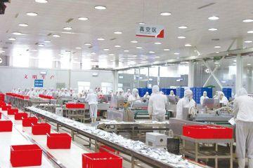 上海新慶包裝公司：現(xiàn)代化包裝企業(yè)